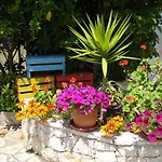 לינה וארוחת בוקר Breezes קונקה ספקיולה