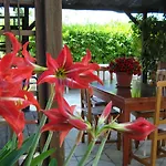 לינה וארוחת בוקר Breezes