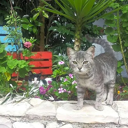 Oda ve Kahvaltı Breezes 4*