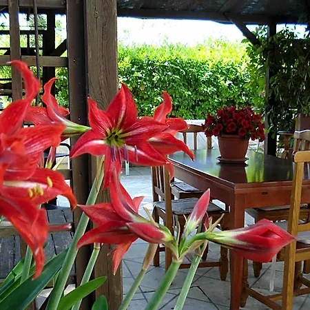 Breezes Conca Specchiulla
