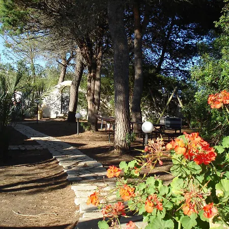 Bed & Breakfast Breezes