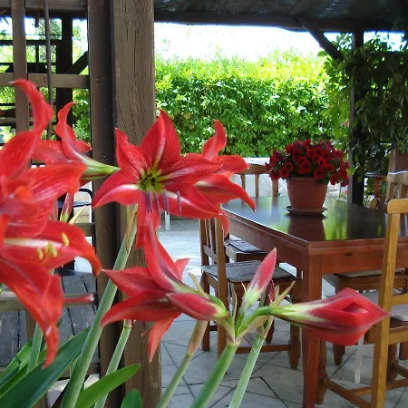 Bed and Breakfast Breezes