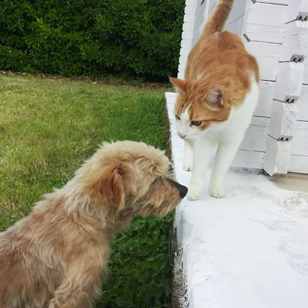 Bed & Breakfast Breezes Conca Specchiulla