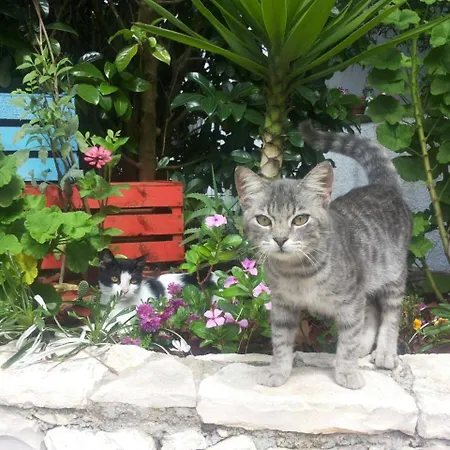 Breezes Conca Specchiulla