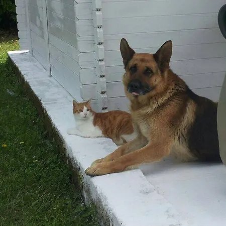 Bed & Breakfast Breezes Conca Specchiulla