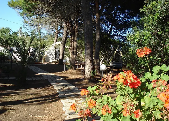 Bed & Breakfast Breezes