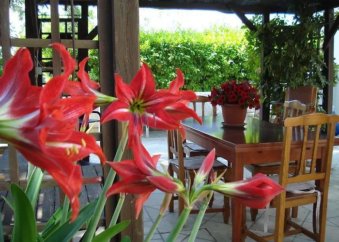 Bed & Breakfast Breezes