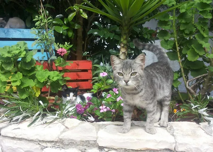 Breezes Conca Specchiulla