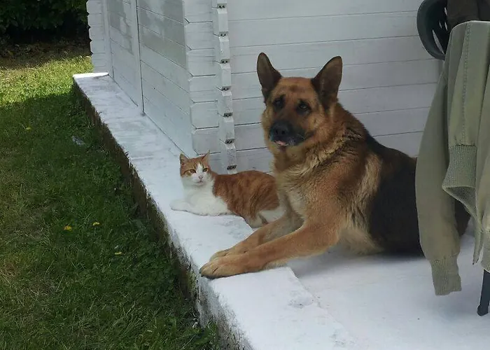 Bed & Breakfast Breezes Conca Specchiulla