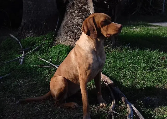 Breezes Bed & Breakfast 4*